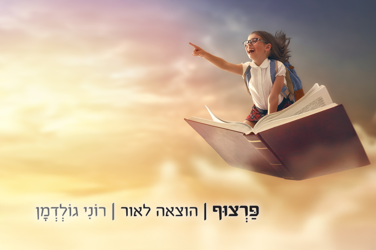 תצוגה מהפרויקט הוצאת פרצוף