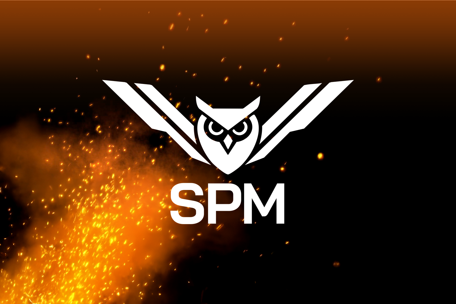 תצוגה מהפרויקט SPM