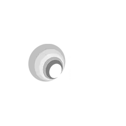 New Sense