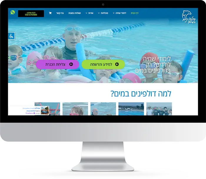 דולפינים במים